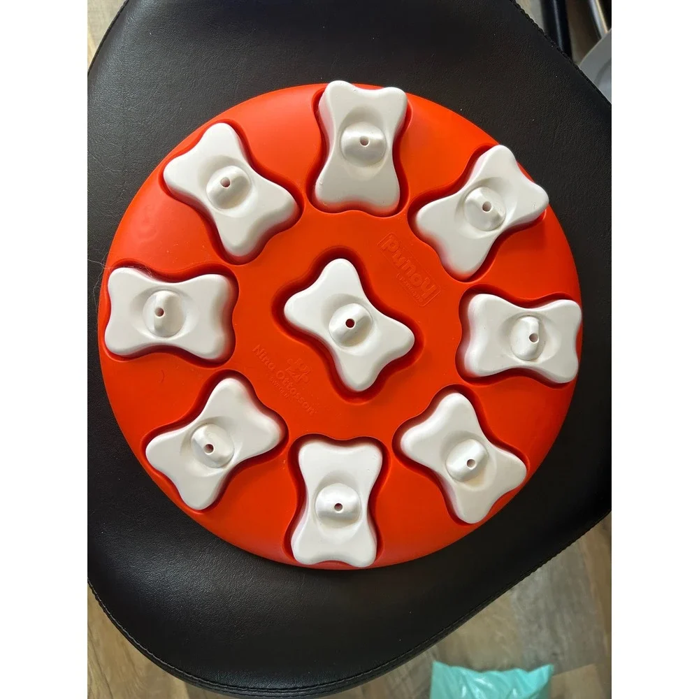 Nina Ottosson Outward Hound Dog Smart Beginner Level 1 Interactive Puzzle Toy